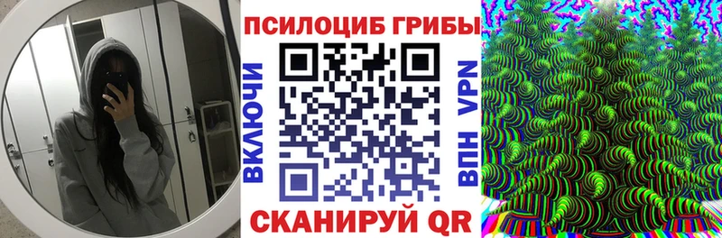Галлюциногенные грибы Psilocybe  закладка  Прохладный 
